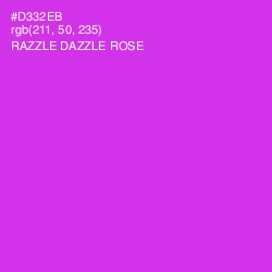 #D332EB - Razzle Dazzle Rose Color Image
